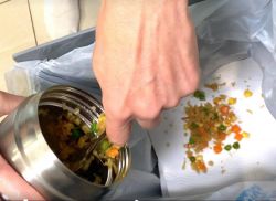 an image of food leftovers from the insulated food container being tipped into the bin 