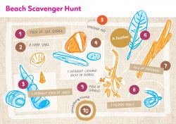 Beach Scavenger Hunt. Find Piece of sea sponge. a Crab shell. 3 different kinds of shells.3 different coloured rocks o r pebbles. Something red. A feather. Piece of driftwood.a mystery object.  Piece of seaweed. Something round. 
